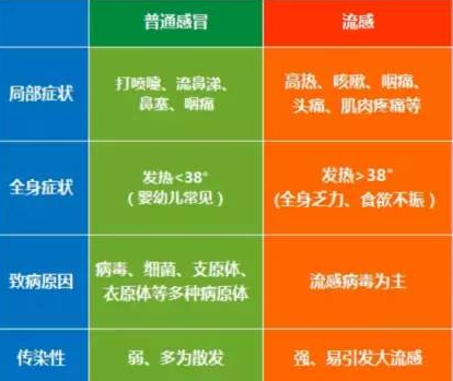 流行性感冒和病毒性感冒的区别——石家庄白求恩医学院