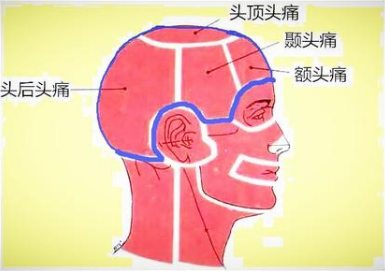 头疼挂什么科——石家庄白求恩医学院